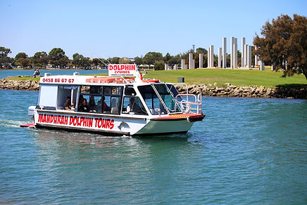 Mandrah Dolphin Cruise